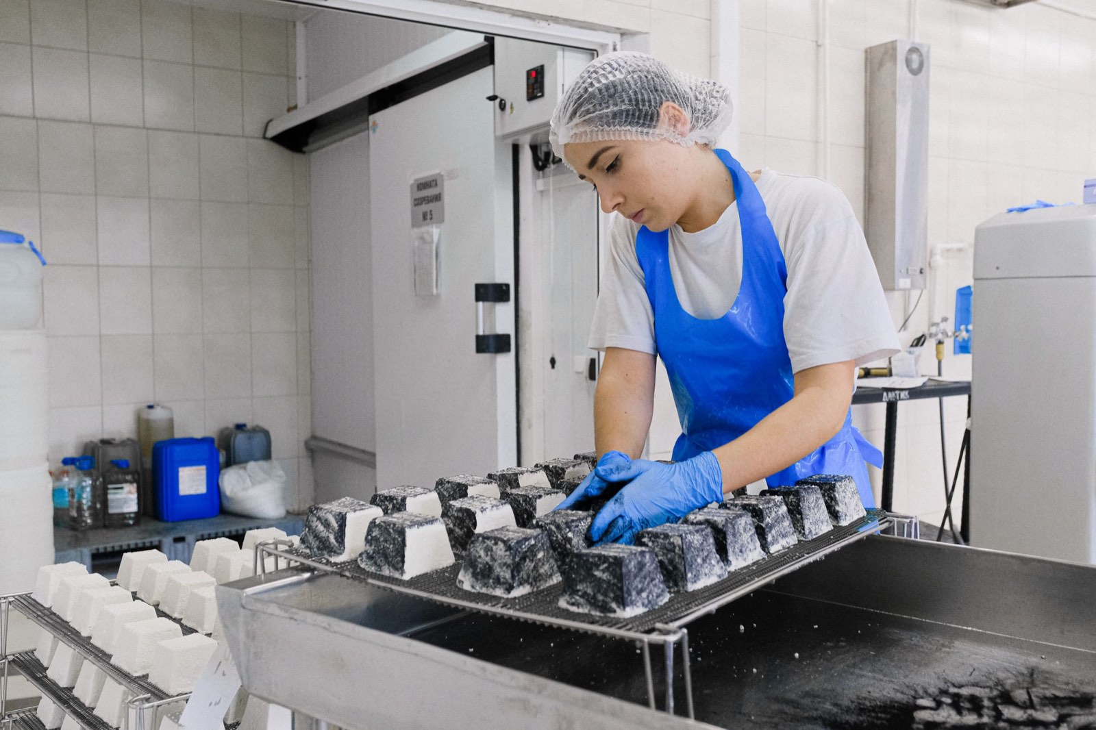 Medewerker met haarnetje en handschoenen aan het werk in een kaasmakerij