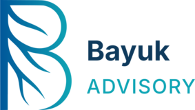 Bayuk Advisory