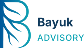 Bayuk Advisory